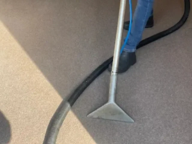 Carpet being professionally cleaned to remove dirt and staining